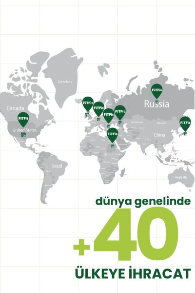FiTFit Disc’o İncir Ceviz | %100 Doğal Meyve & Kuruyemiş | İlave Şekersiz Atıştırmalık 20 gr x 3